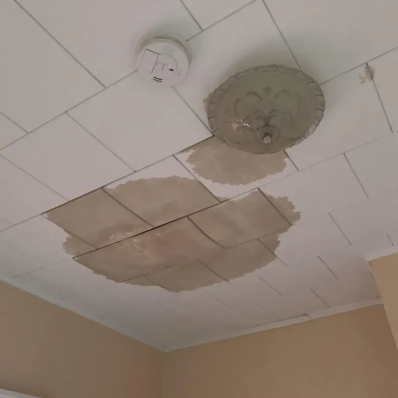 Ceiling Water Damage Repair in Greenwood, DE