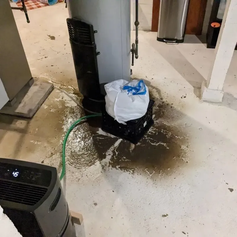 Sewage Backup Cleanup Service in Greenwood, DE